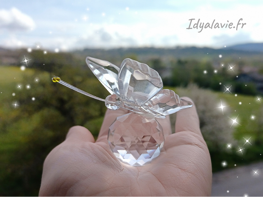 papillon en verre à poser neutre