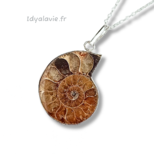 Pendentif Ammonite