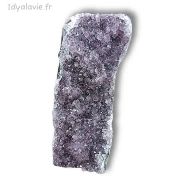 Améthyste géode 1145g A