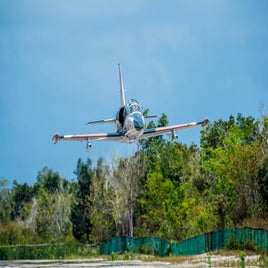 alex4-1.jpg
