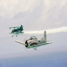 dsc_3862-1.jpg