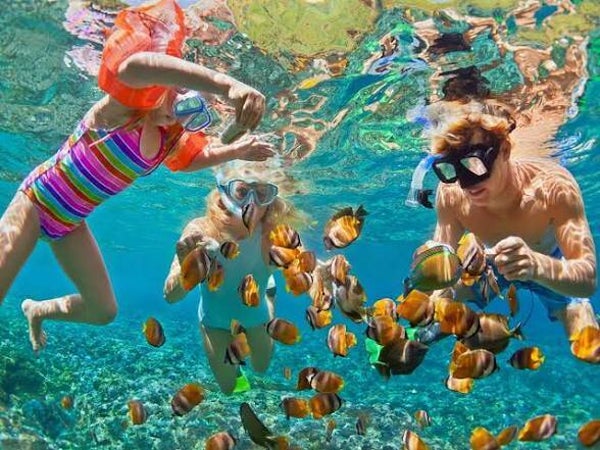EL CIELITO COZUMEL - SNORKEL CON ESTRELLAS DE MAR