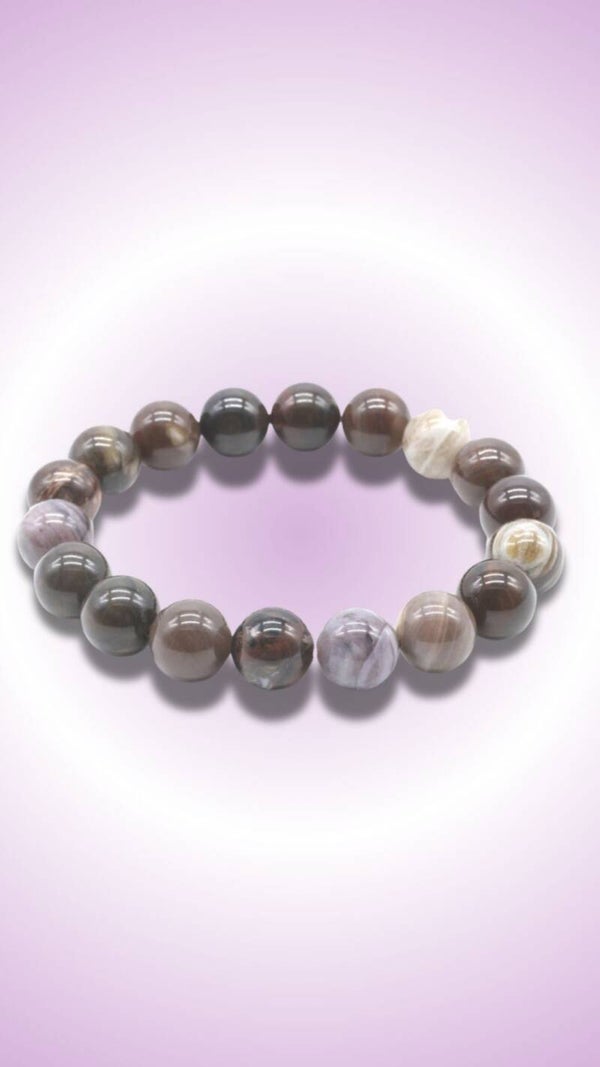 Agate Fossile