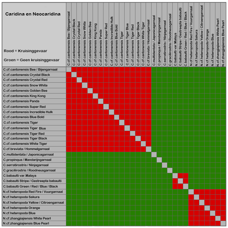 Kruisingsschema garnalen