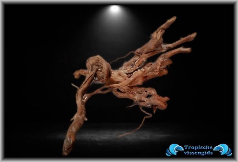 Sumatran driftwood/Sumatraans drijfhout