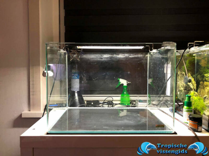 Opbouw van een aquascape