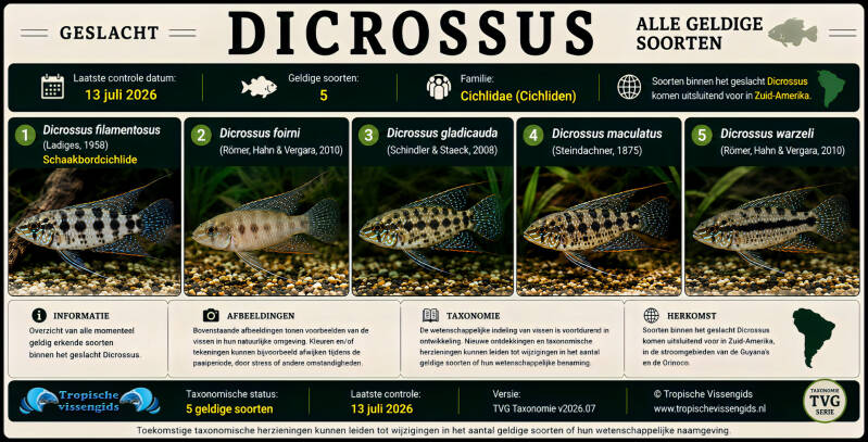 Alle Dicrossus soorten.