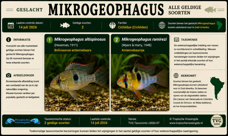 Alle Mikrogeophagus soorten.