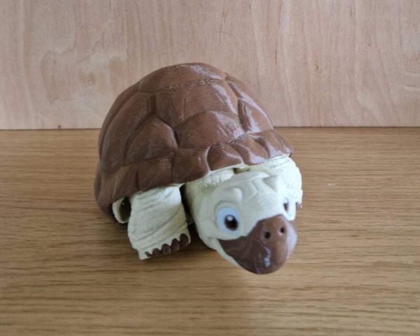 Schildkröte