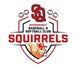 Borgerhout Squirrels