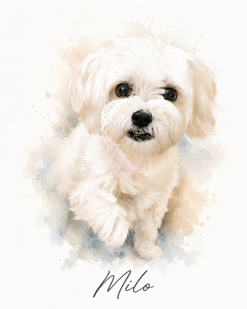 chatgpt-image-26-jul-2026-11_58_44-standard.png