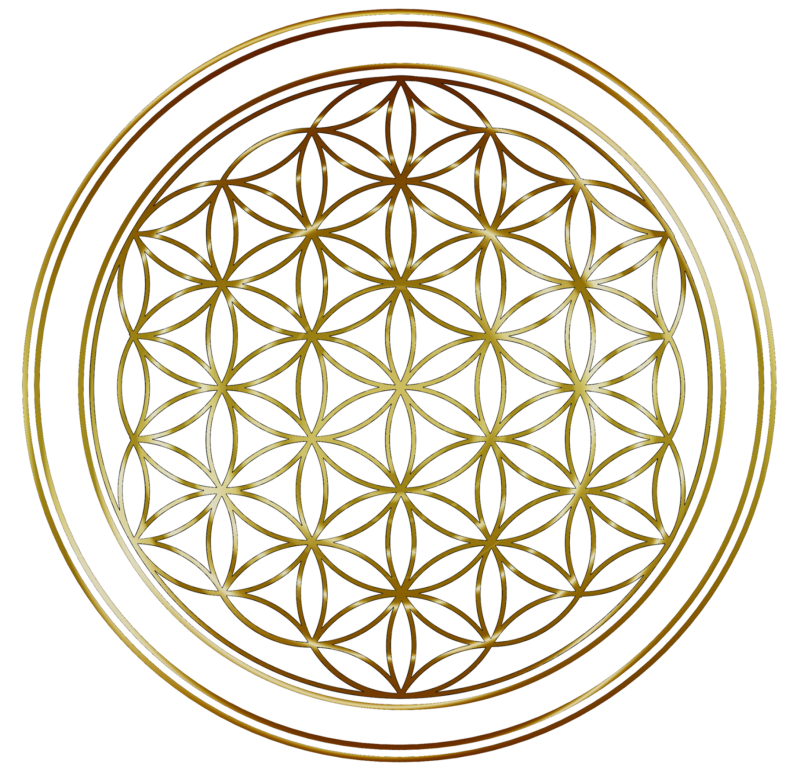 Flower of life