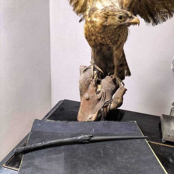 Toverstaf, Bellatrix van Detta