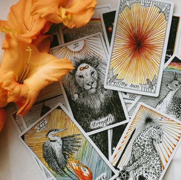 Guidance-Portal & Frequenz-Alignment