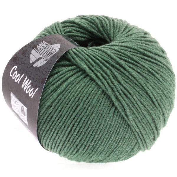 Donker Grijs-Groen ( Cool Wool ) 2021
