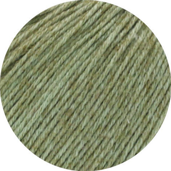 Diversa 010