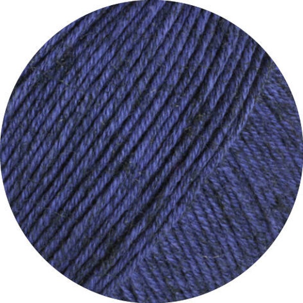 Diversa 017