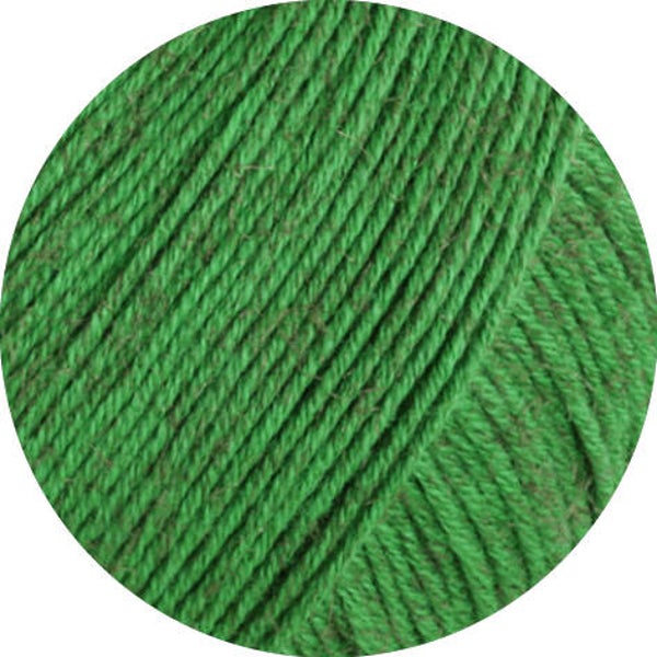 Diversa 019
