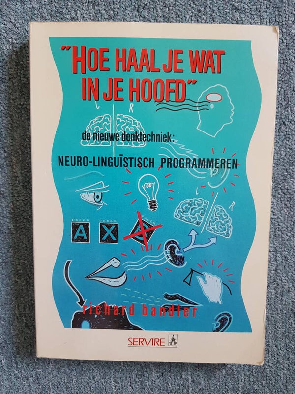 Hoe haal je wat in je hoofd - Richard Bandler