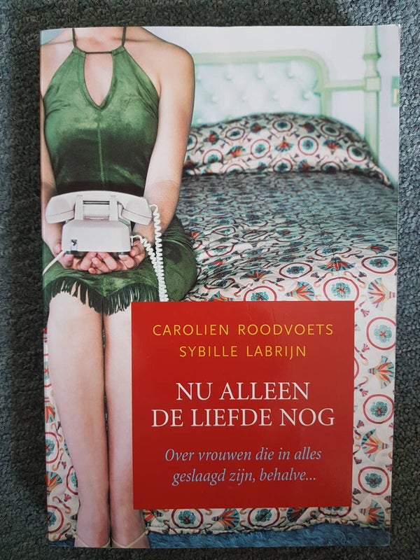 Nu alleen de liefde nog - Carolien Roodvoets en Sybille Labrijn