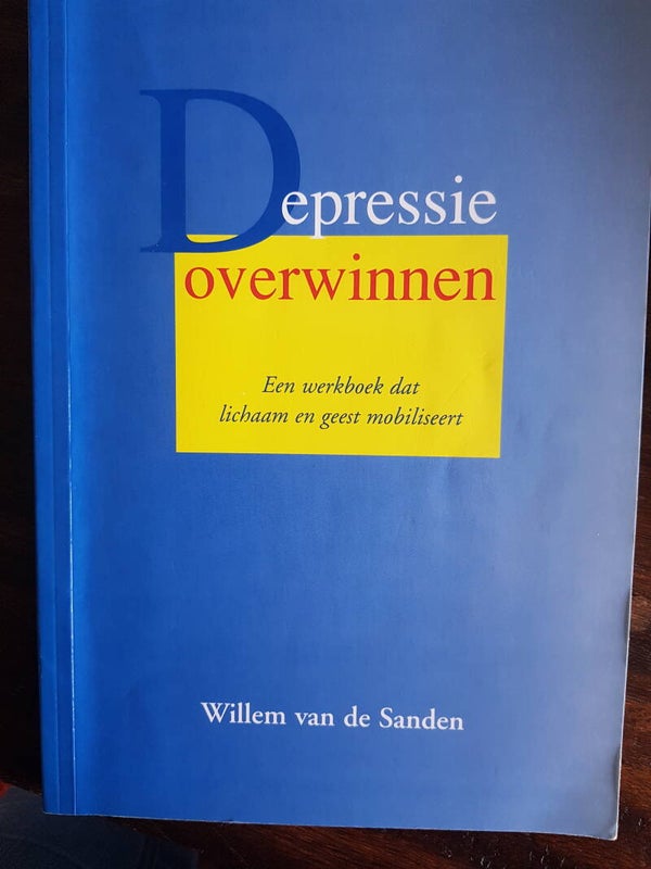 Depressie overwinnen, een werkboek dat lichaam en geest mobiliseert - Willem van de Sanden