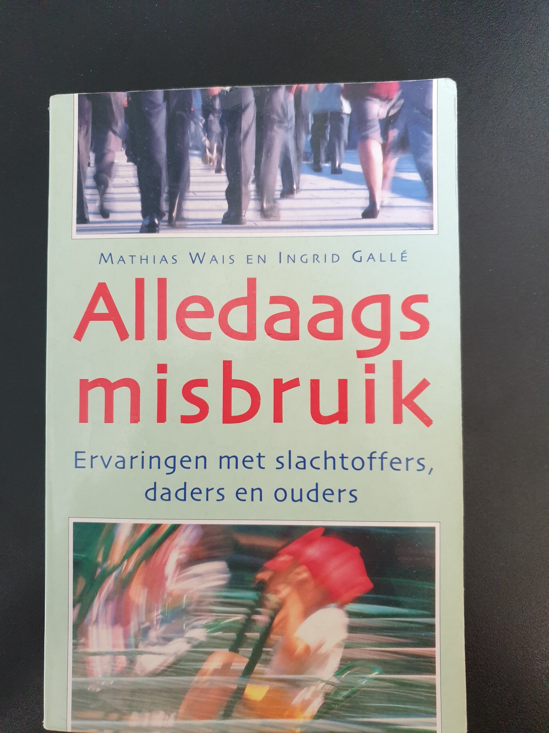 Alledaags misbruik, ervaringen met slachtoffers, daders en ouders - Mathias Wais en Ingrid Gallé