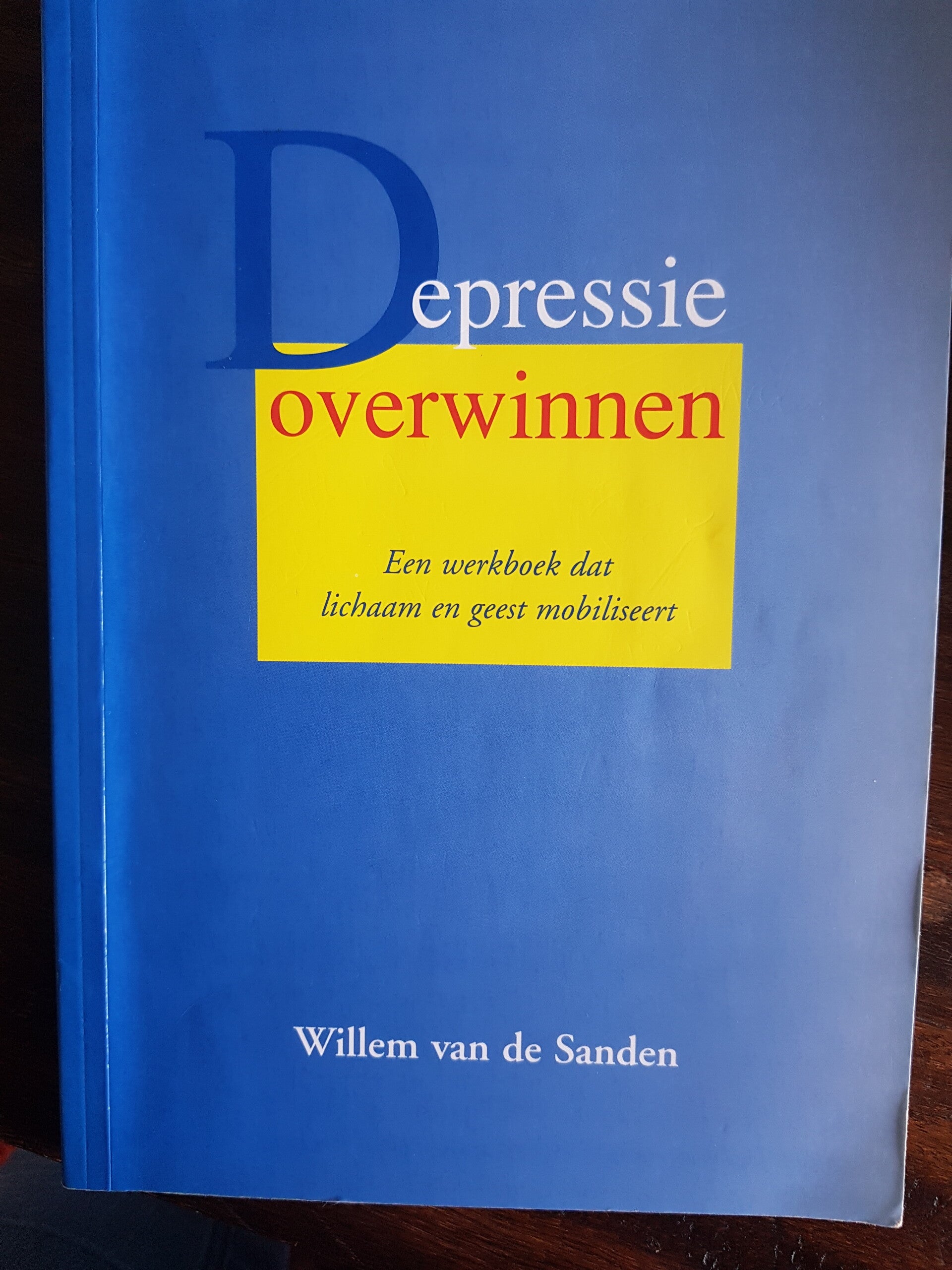 Depressie overwinnen, een werkboek dat lichaam en geest mobiliseert - Willem van de Sanden