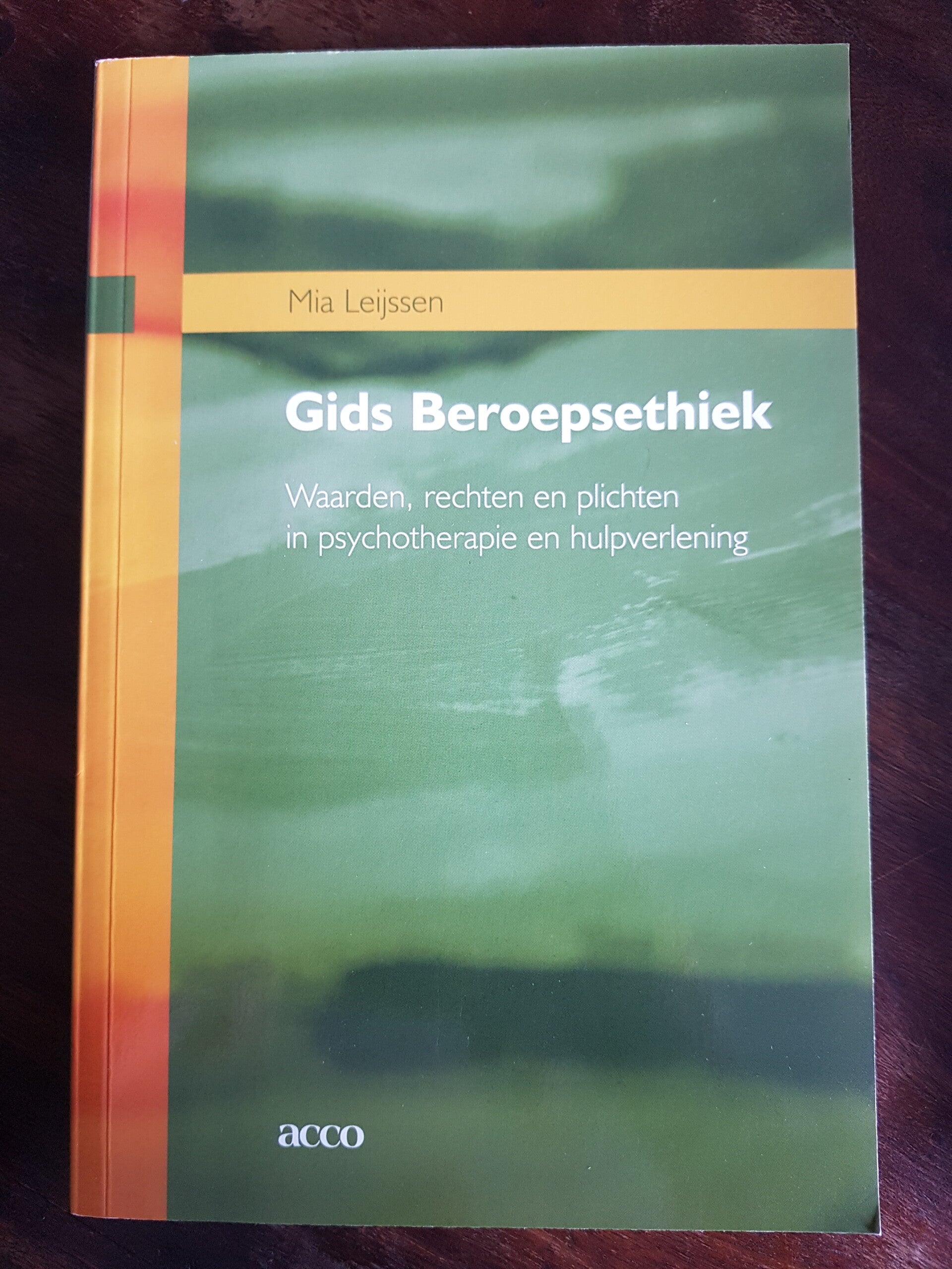Gids Beroepsethiek, waarden, rechten en plichten in psychotherapie en hulpverlening - Mia Leijssen