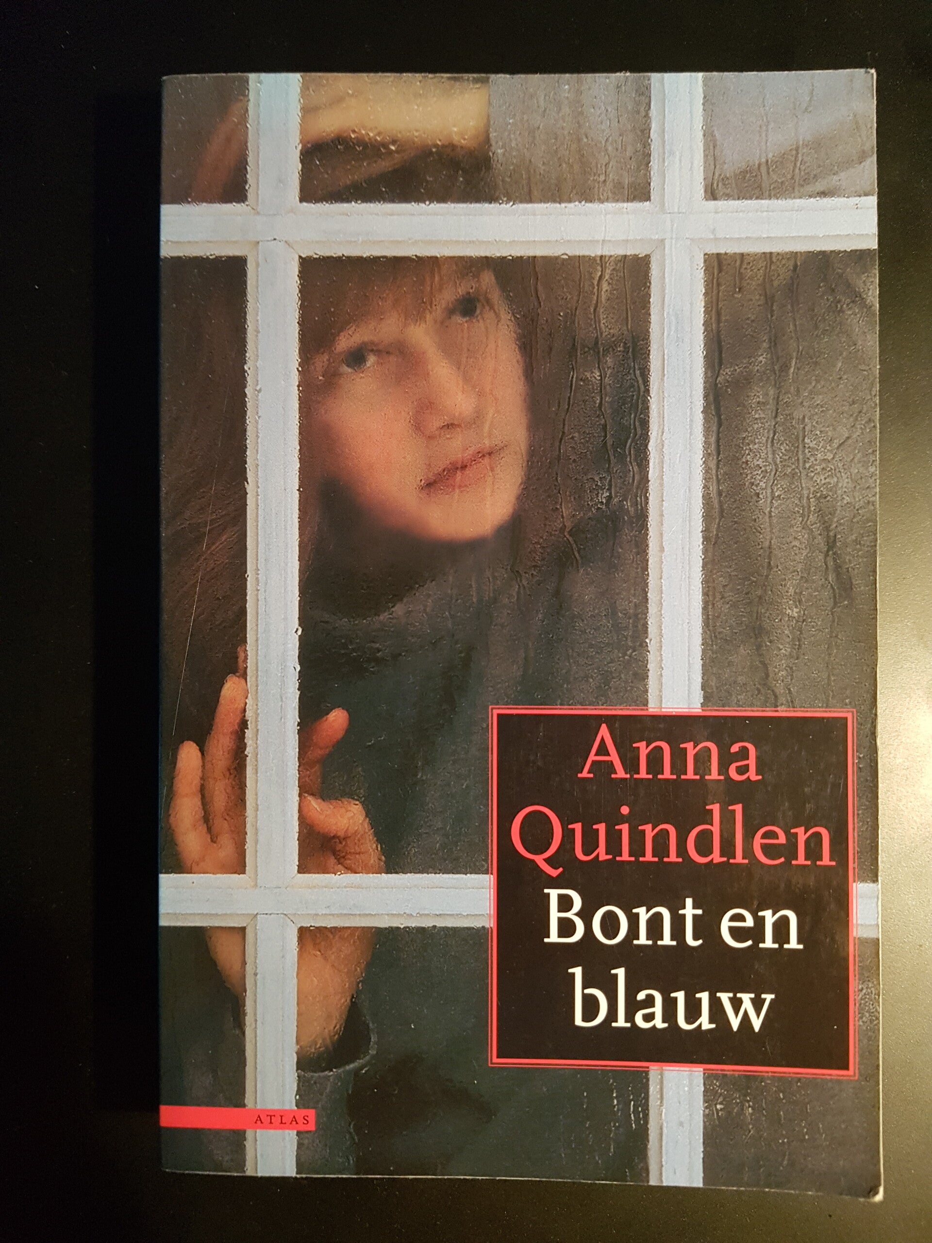 Bont en blauw - Anna Quindlen, roman  over mishandeling