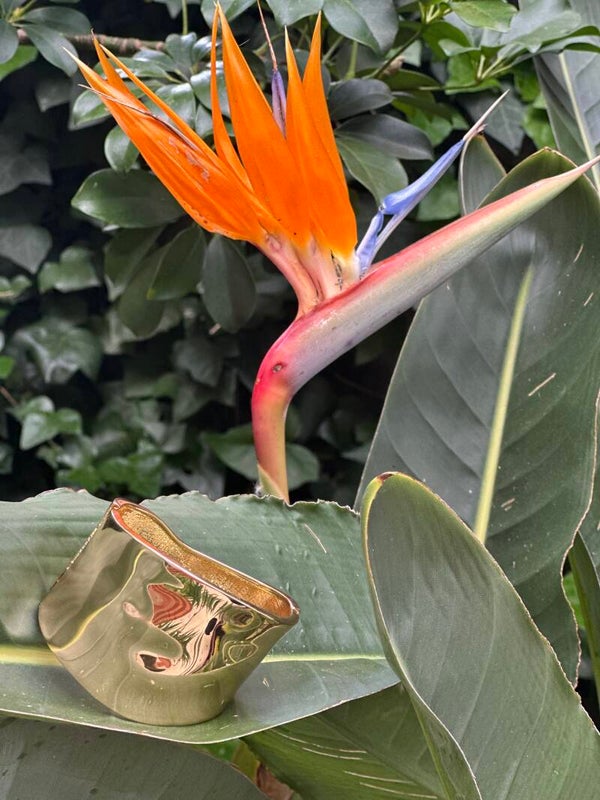 PULSERA BRAZALETE ALMA