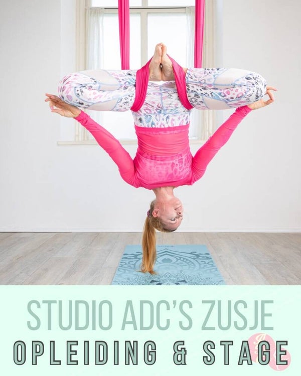 INSTRUCTOR TRAINING Paaldansen, Aerial hoop, Aerial yoga & Yin yoga