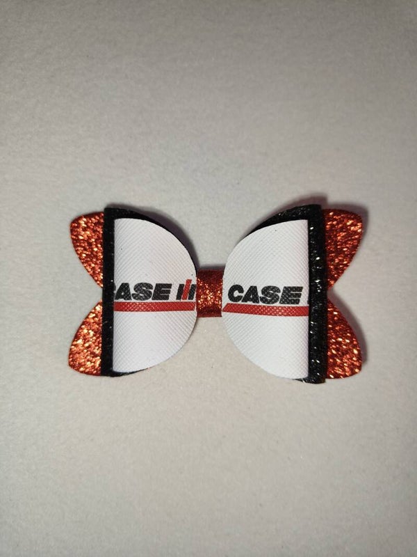 Case