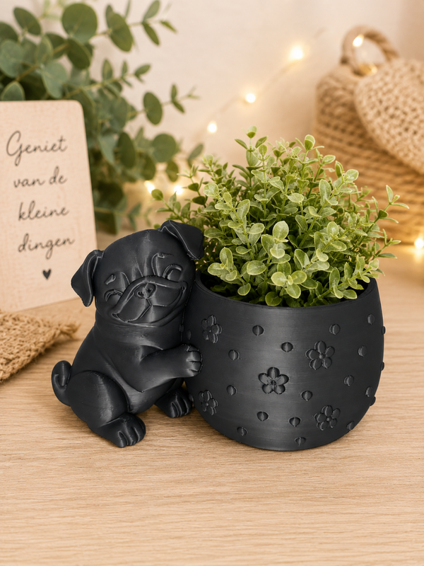 Mops hondje