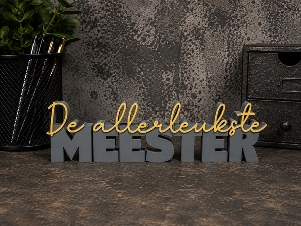De allerleukste meester