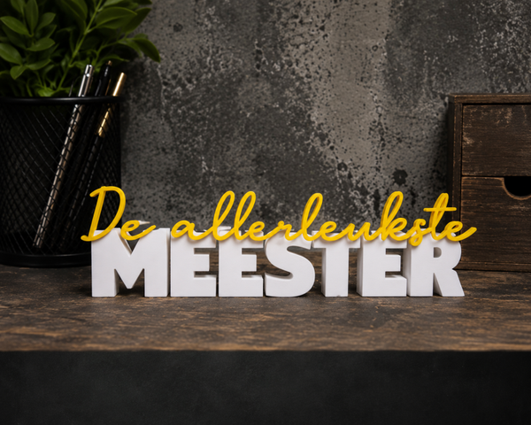 De allerleukste meester
