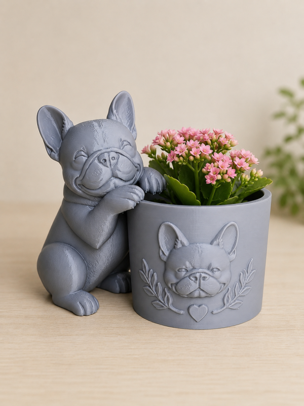 Franse bulldog