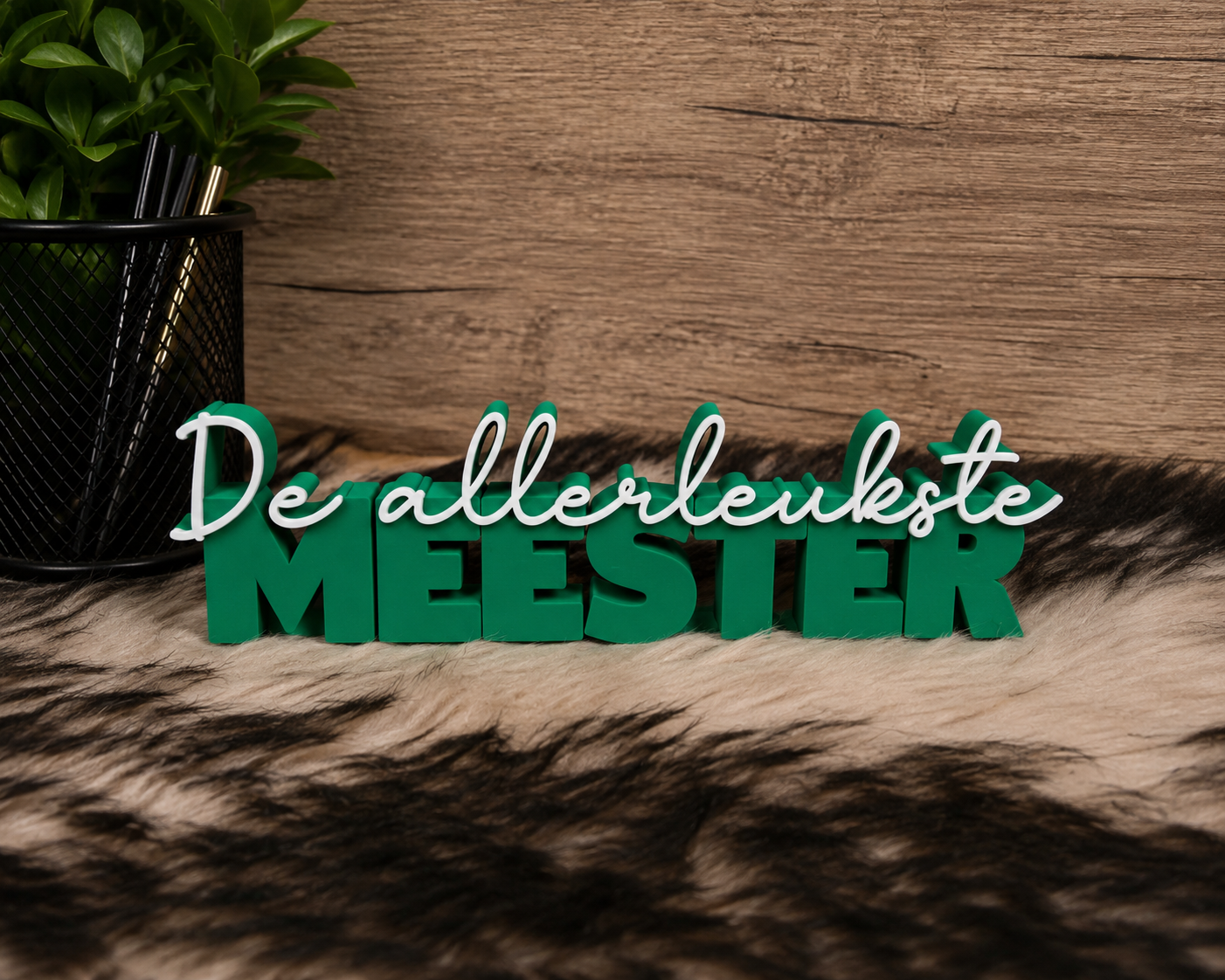 De allerleukste meester
