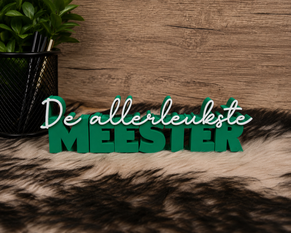 De allerleukste meester