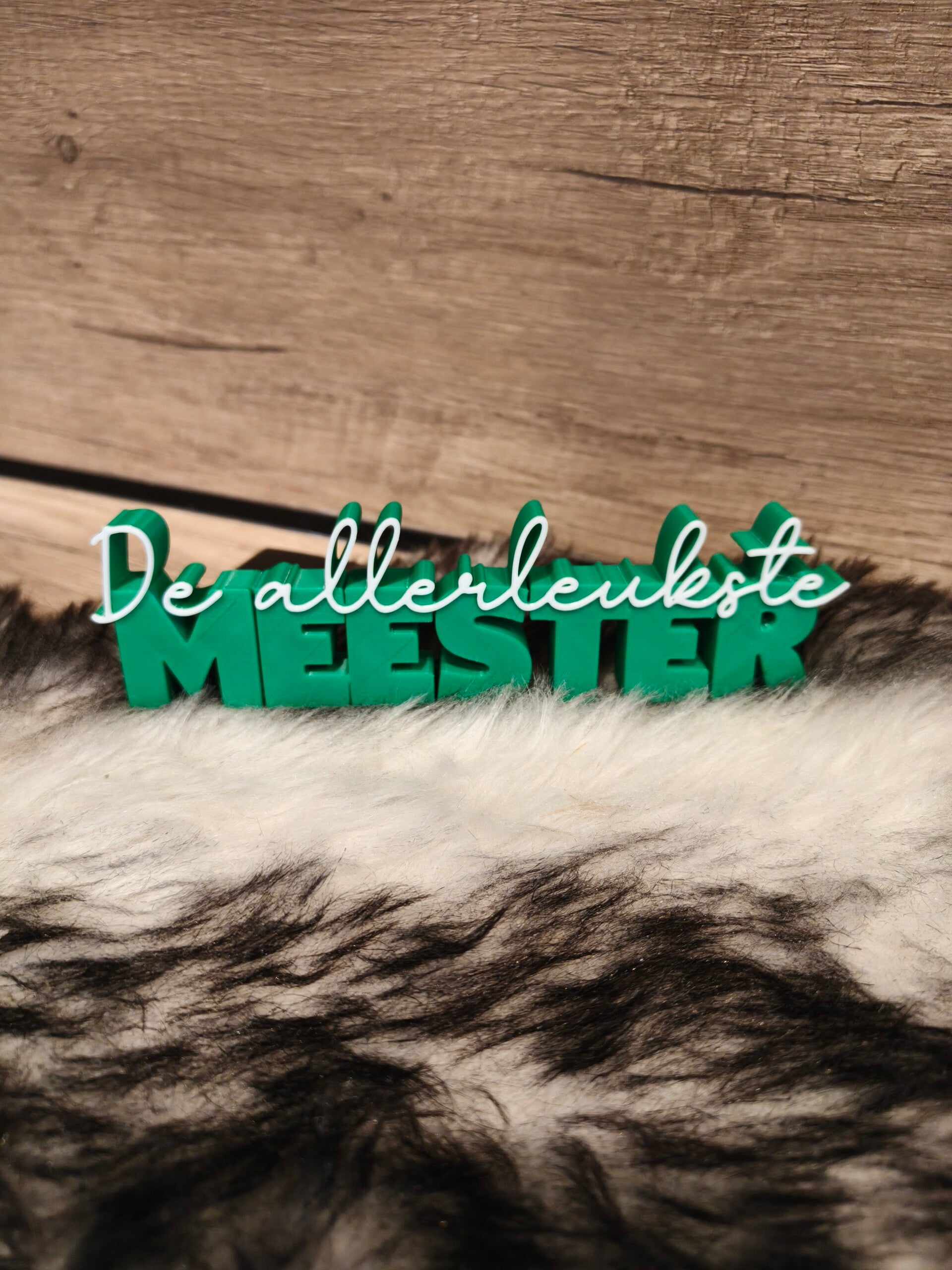 De allerleukste meester