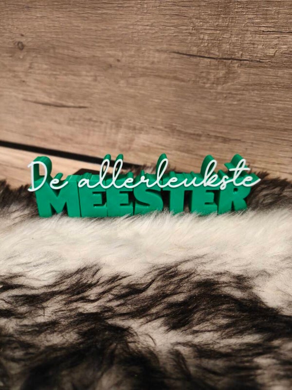 De allerleukste meester