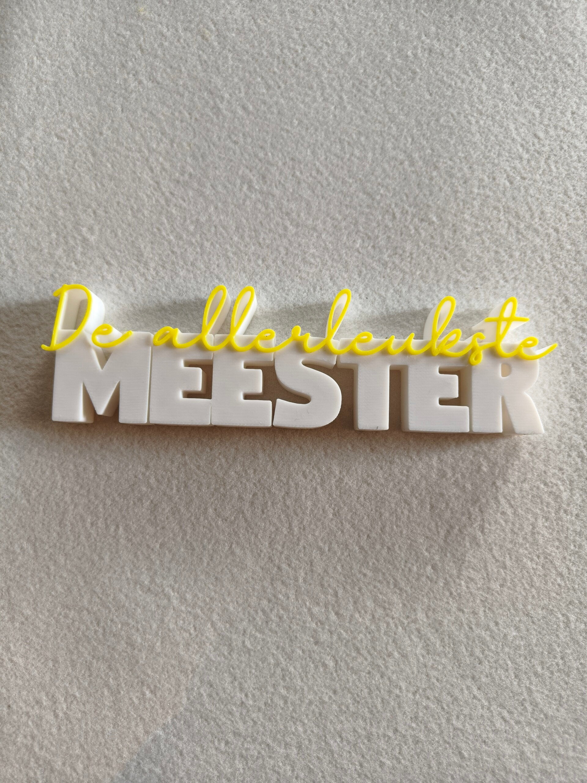 De allerleukste meester