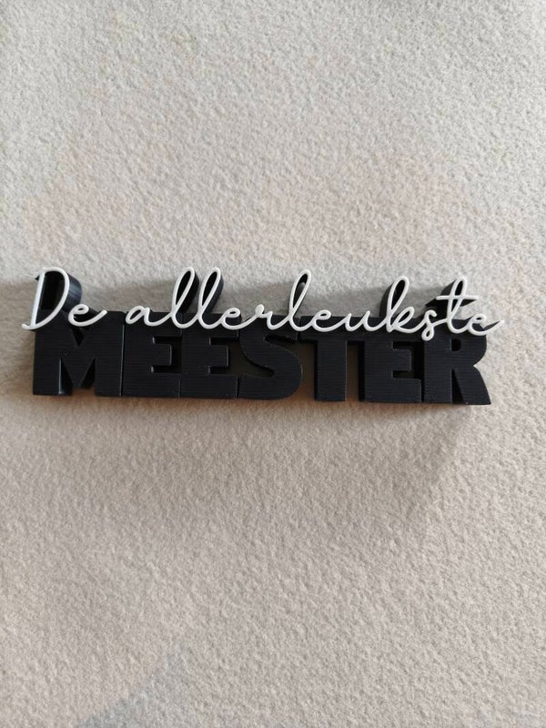 De allerleukste meester