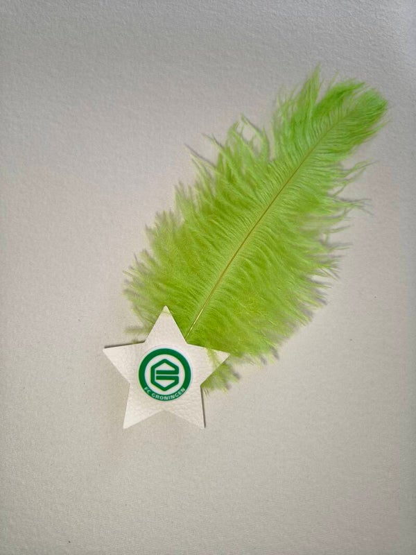 Fc groningen