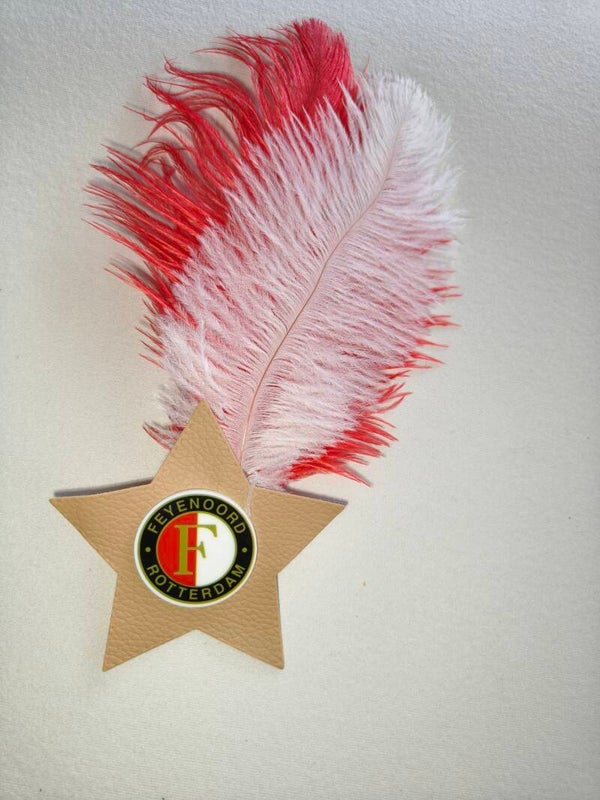 Feyenoord met veer