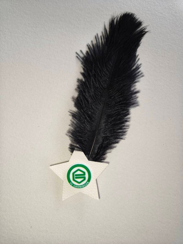 Fc groningen