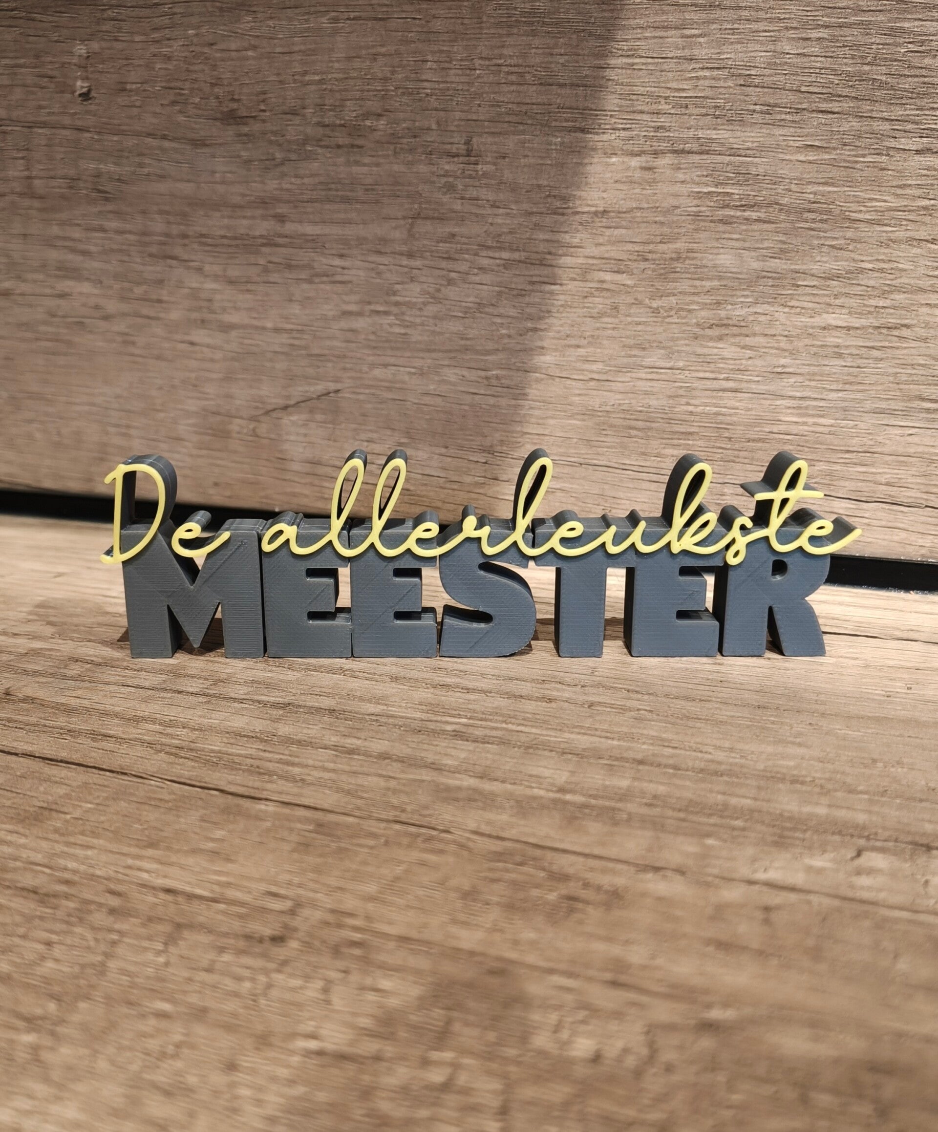 De allerleukste meester