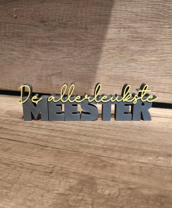 De allerleukste meester