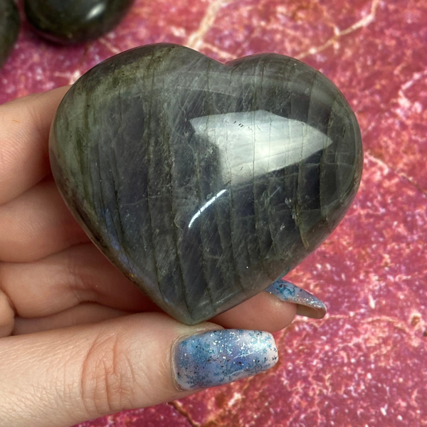 Labradoriet hart 0145