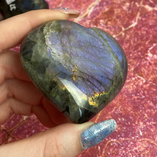 Labradoriet hart 0143