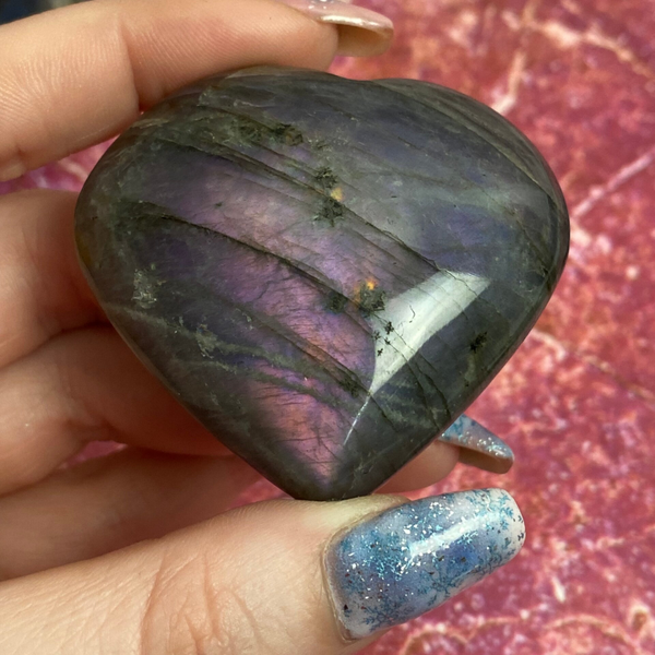 Labradoriet hart 0142